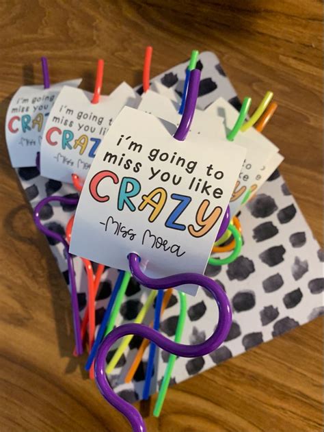 student teacher goodbye gifts for students|More.